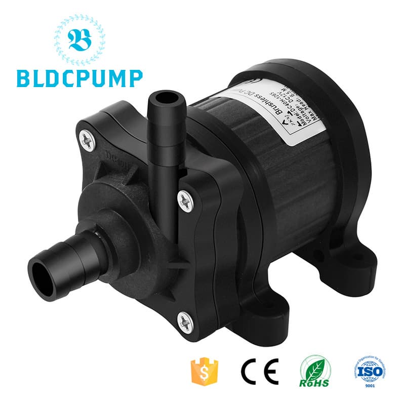 Tiny 12V Water Pump Free Consultation_ DC Water Pump